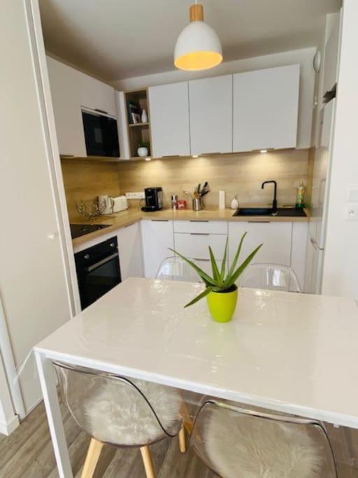 Le Saint Hilaire *T2* Apartment ออร์เลออง ภายนอก รูปภาพ